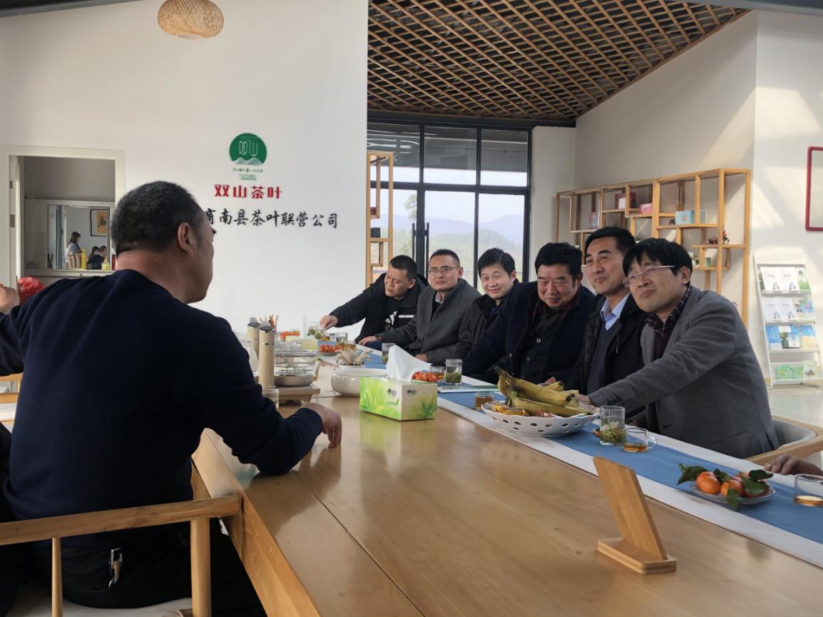风速体育平台