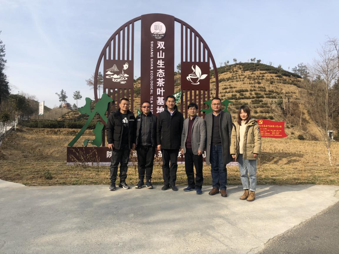 风速体育APP下载