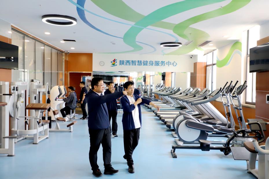风速体育官方线路