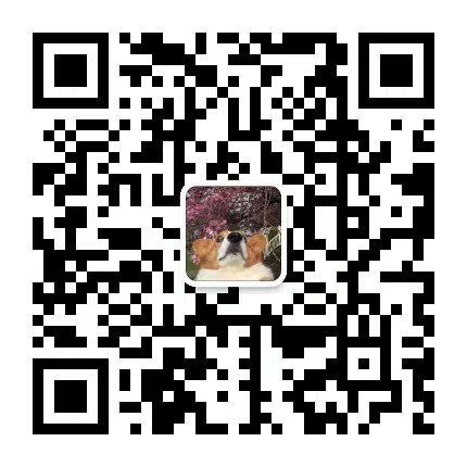 风速体育安全通道