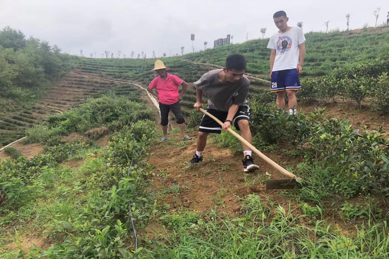 风速体育指定入口