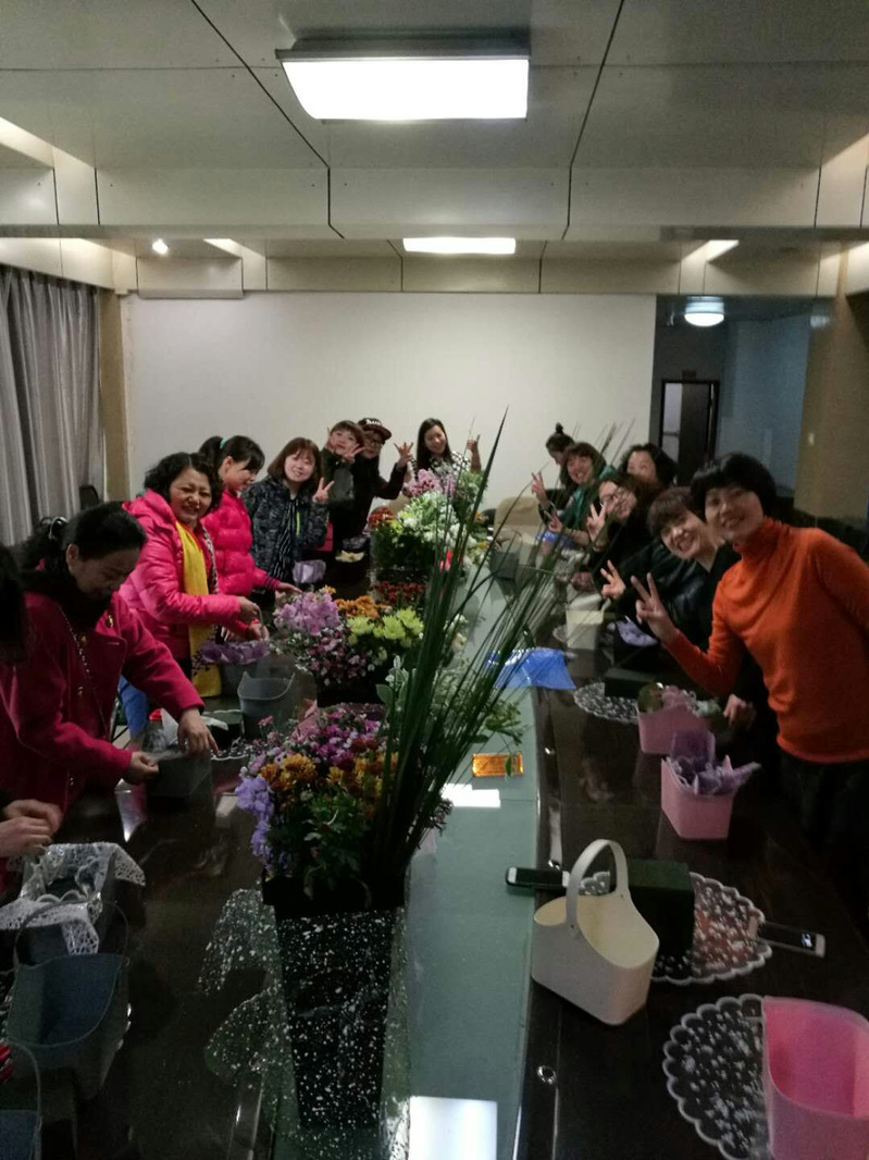 风速体育直播