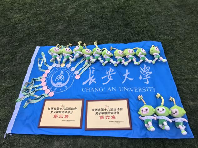 风速体育直播