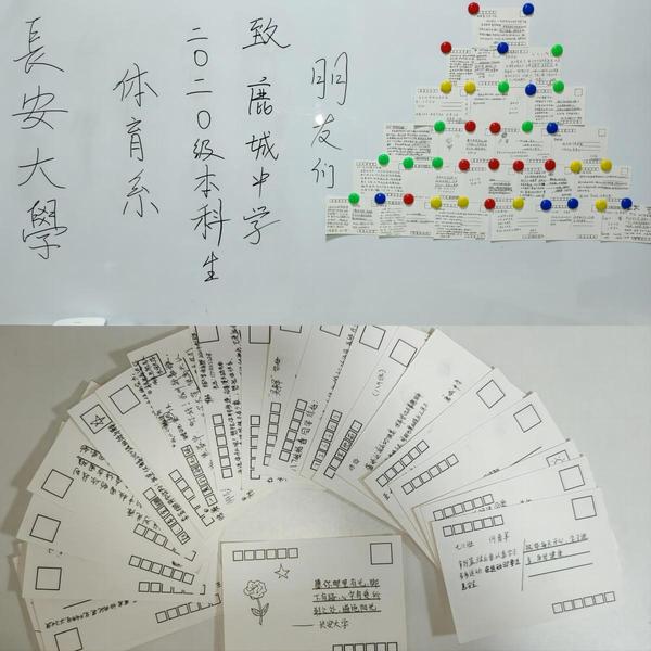 风速体育核心通道